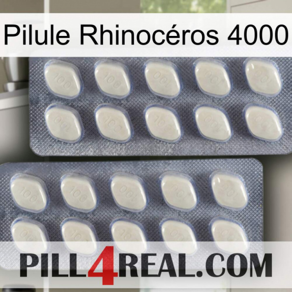 Pilule Rhinocéros 4000 07